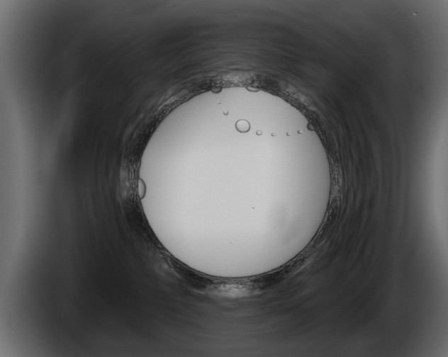 X0000086000236200703230856