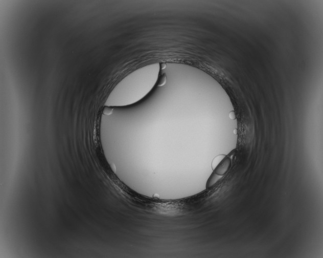 X0000086000238200703230856
