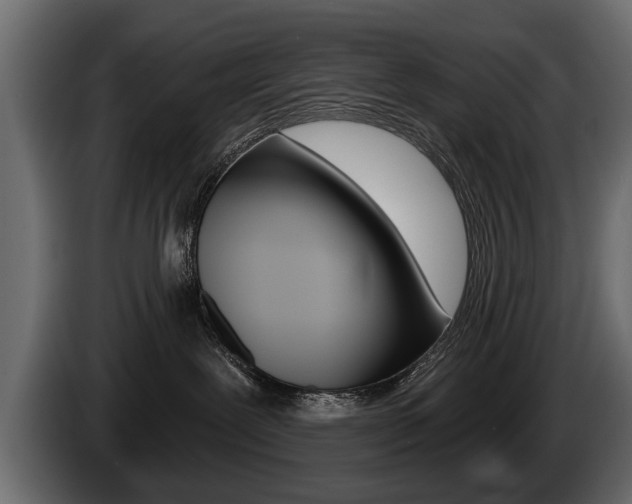 X0000086000239200703230856