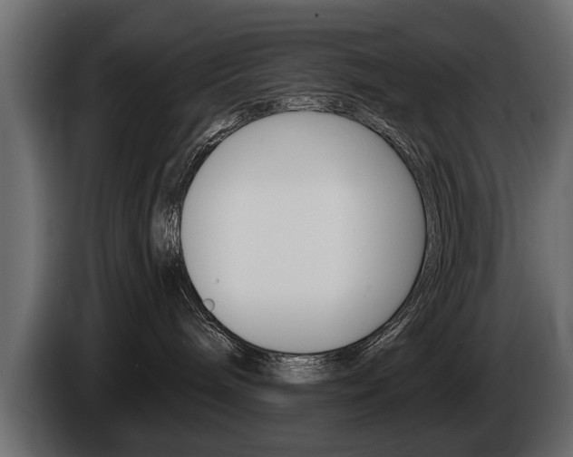 X0000086000240200703230856