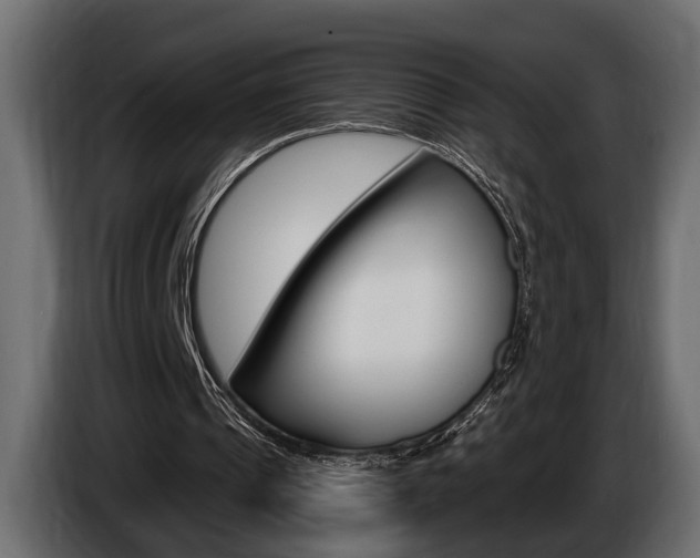 X0000086000241200703230855