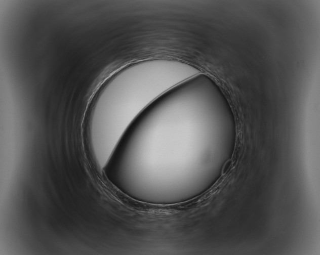 X0000086000242200703230855