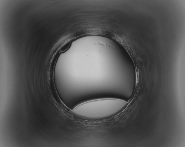X0000086000243200703230855