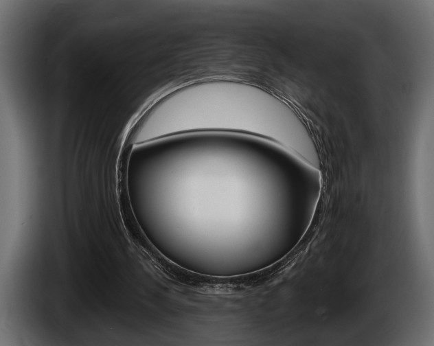 X0000086000244200703230855