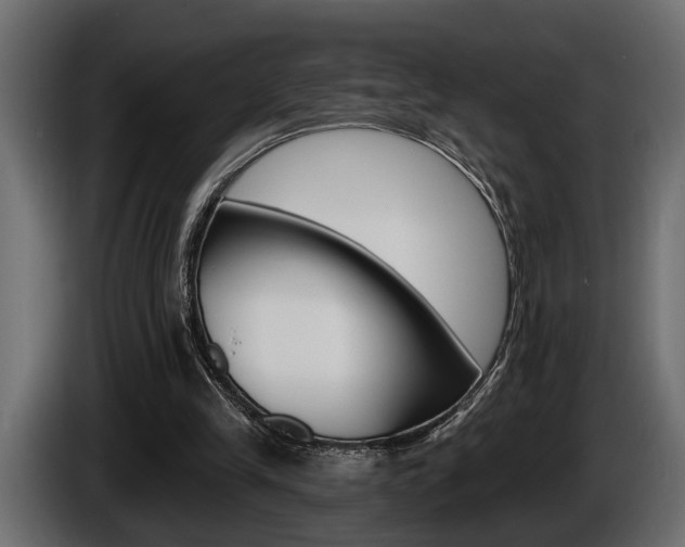 X0000086000245200703230855