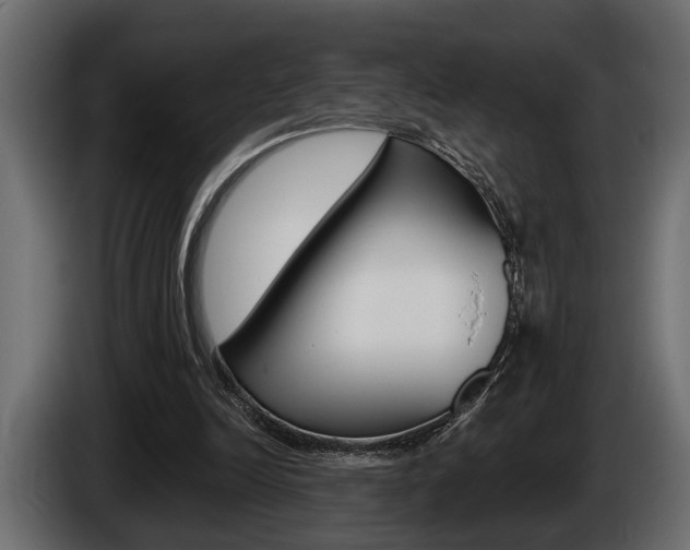 X0000086000246200703230855