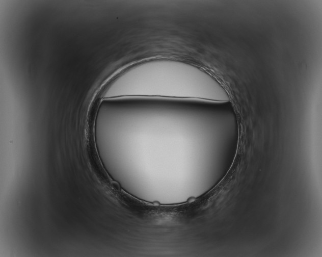 X0000086000247200703230855