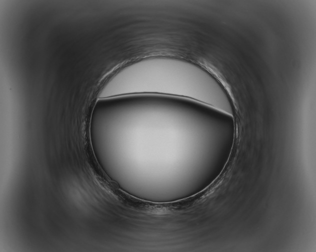 X0000086000249200703230855