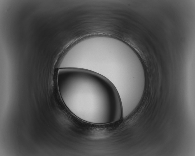 X0000086000252200703230855
