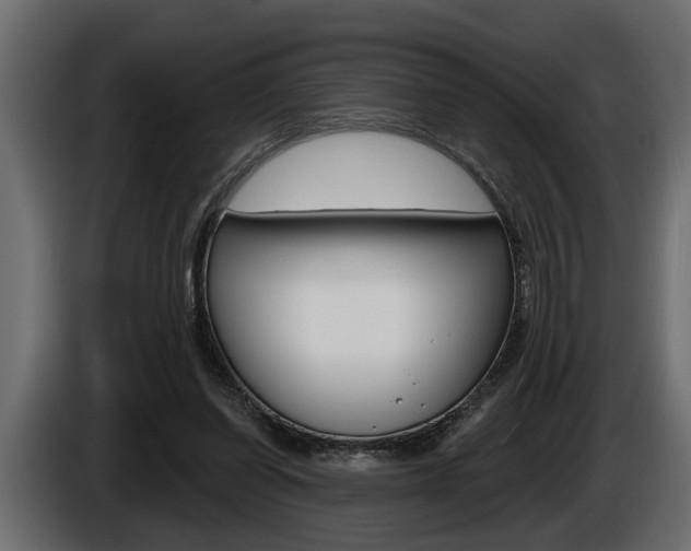 X0000086000254200703230855