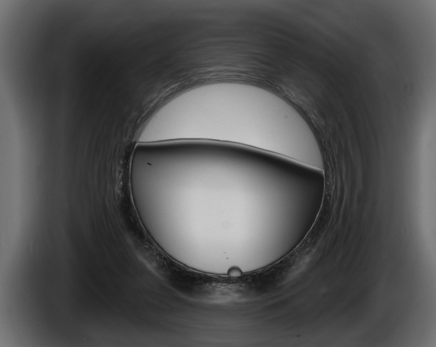 X0000086000255200703230855