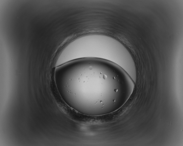 X0000086000256200703230855