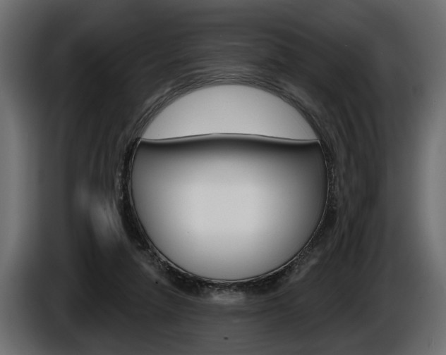 X0000086000258200703230855