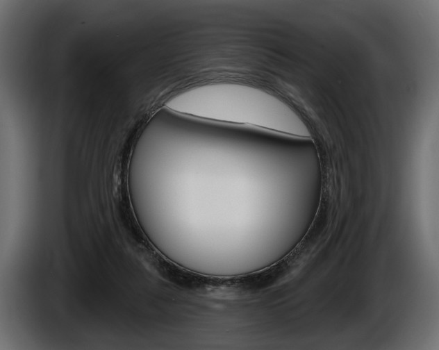 X0000086000259200703230855