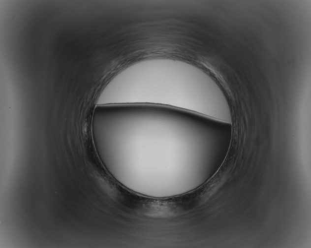 X0000086000261200703230855