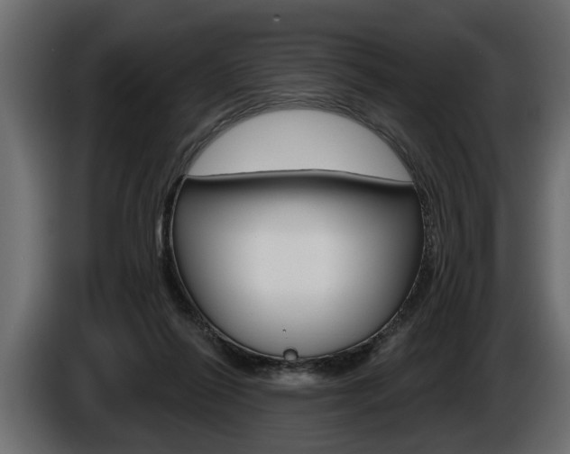 X0000086000262200703230855