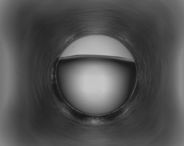 X0000086000264200703230855