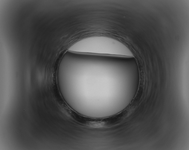 X0000086000266200703230855
