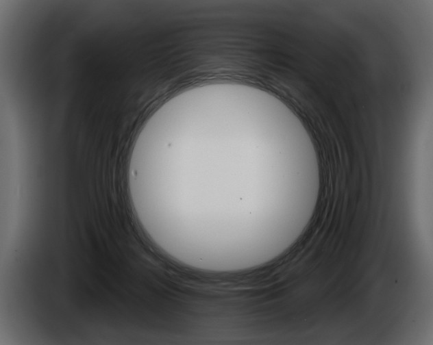 X0000086000268200703230855