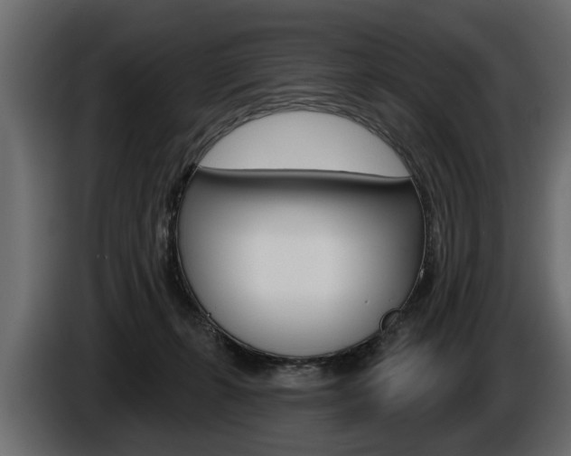 X0000086000271200703230855