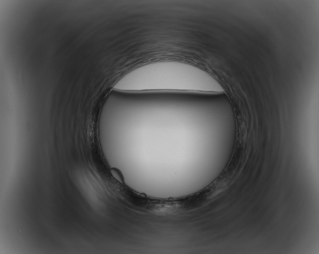 X0000086000274200703230855