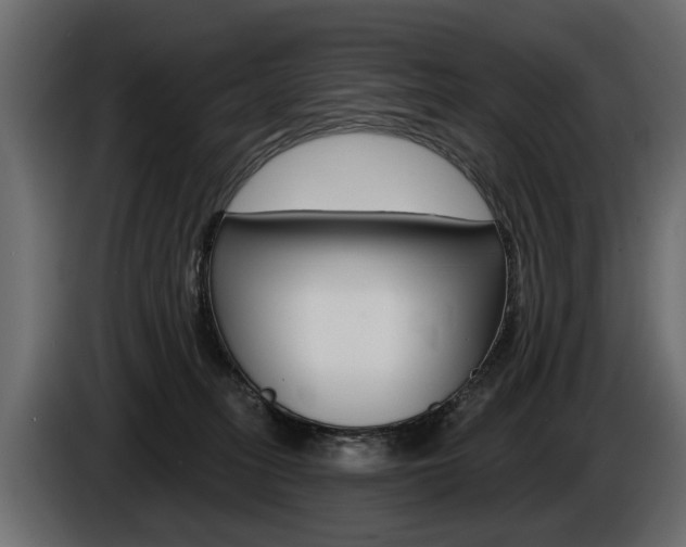 X0000086000275200703230855
