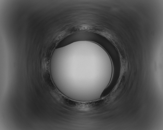 X0000086000276200703230855