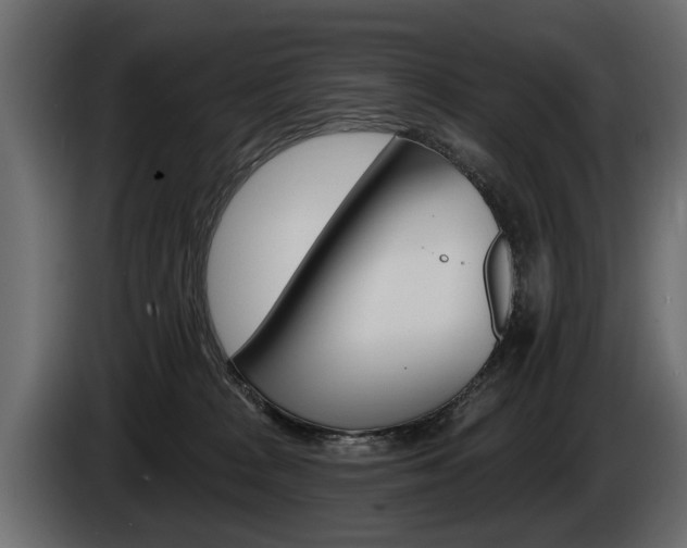 X0000086000277200703230856