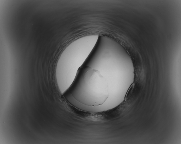 X0000086000278200703230856