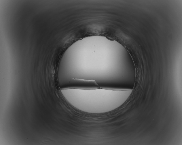 X0000086000279200703230856