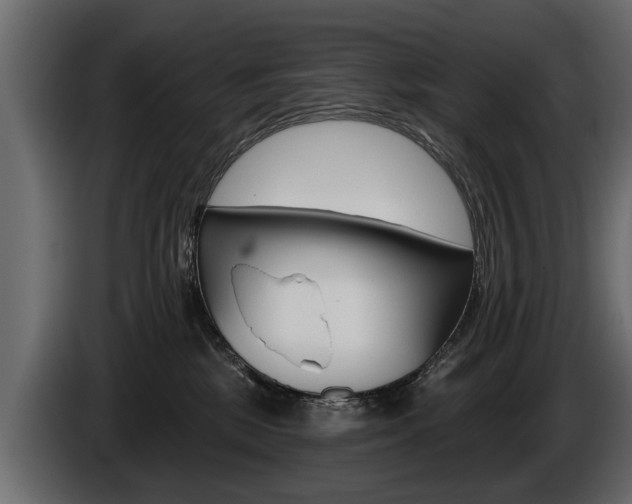 X0000086000281200703230856