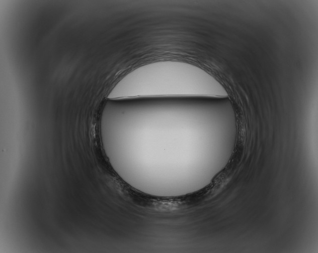 X0000086000282200703230856