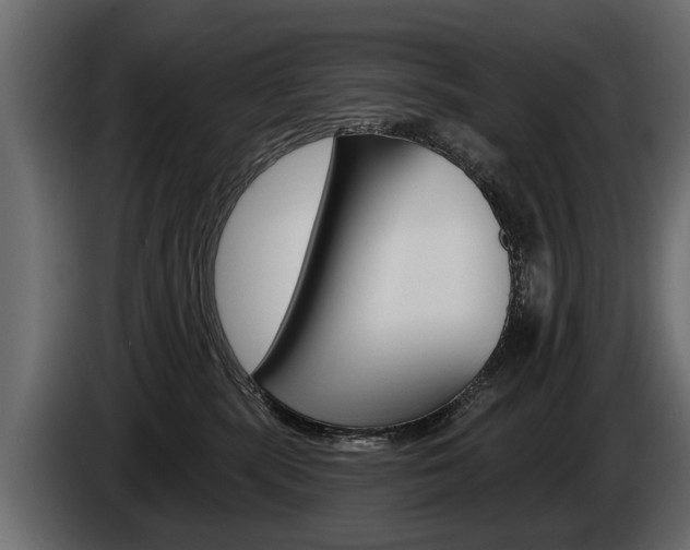 X0000086000283200703230856