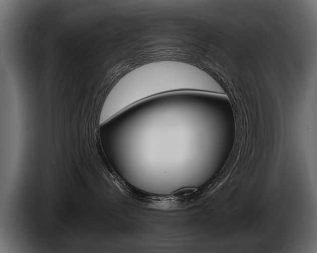 X0000086000288200703230856