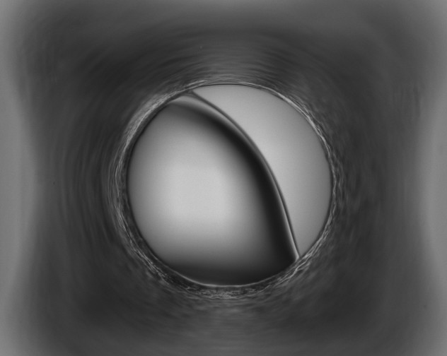 X0000086000289200703230855