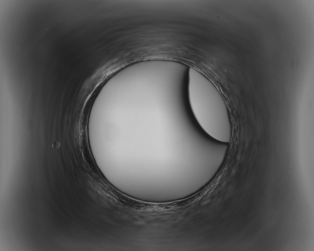 X0000086000290200703230855