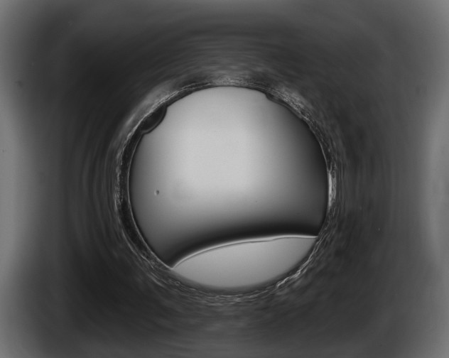 X0000086000291200703230855
