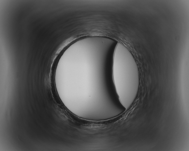 X0000086000292200703230855
