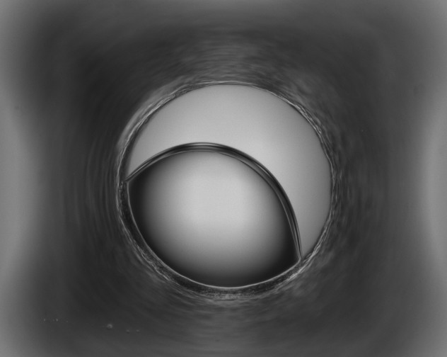 X0000086000293200703230855