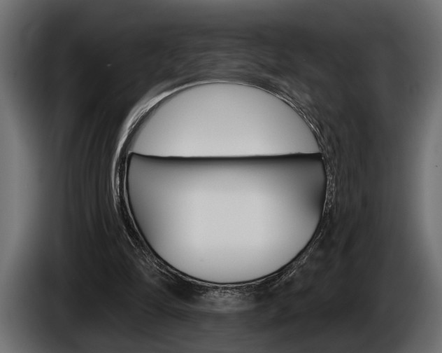 X0000086000294200703230855