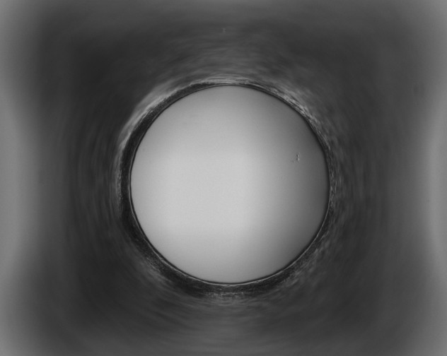 X0000086000296200703230855