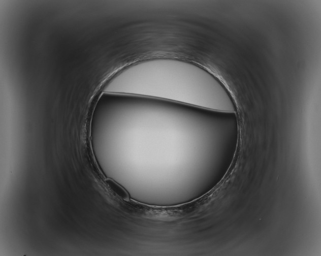 X0000086000297200703230855