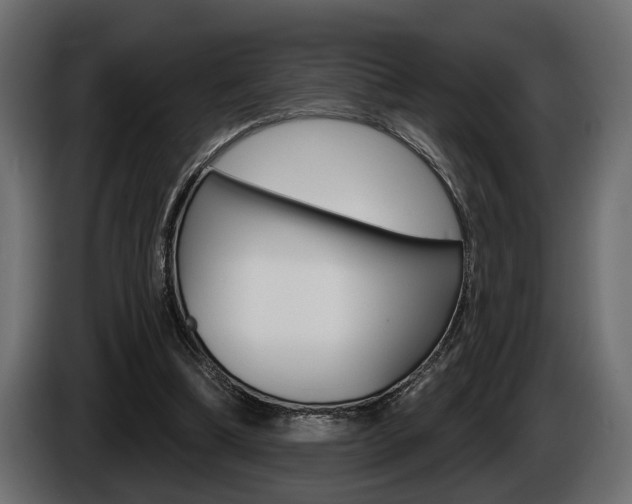 X0000086000298200703230855