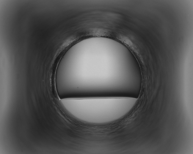 X0000086000299200703230855
