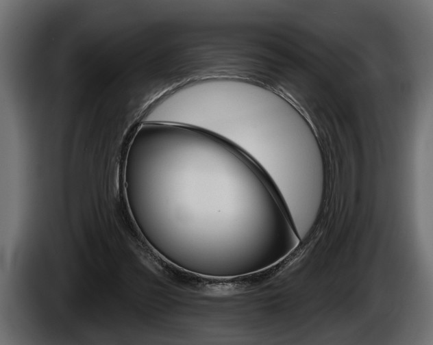 X0000086000301200703230855