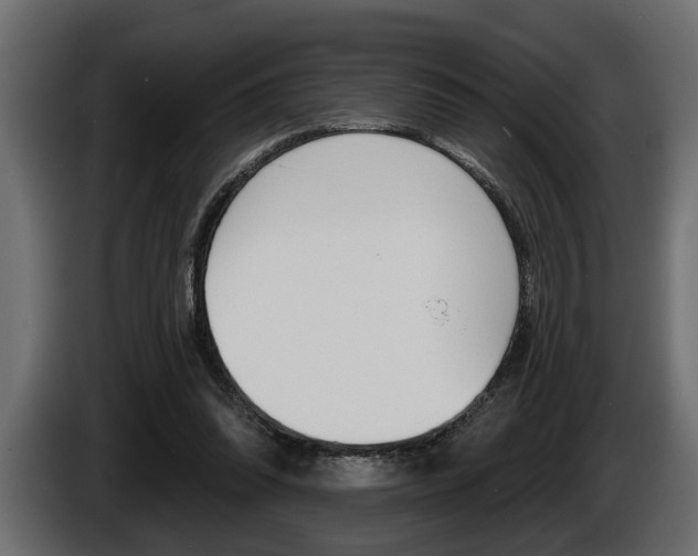 X0000086000302200703230855