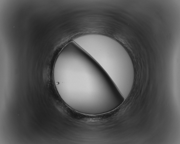 X0000086000303200703230855