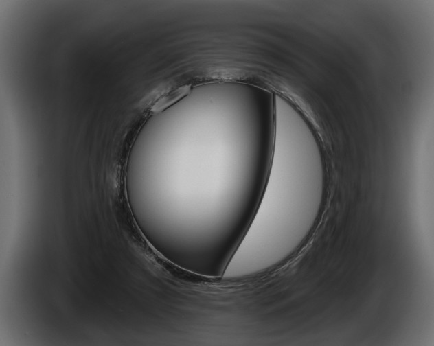 X0000086000305200703230855