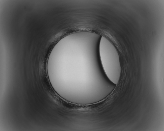 X0000086000306200703230855