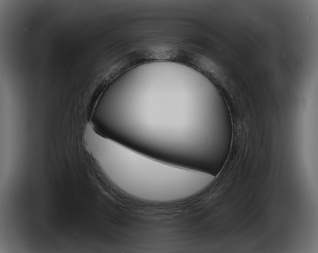 X0000086000307200703230855